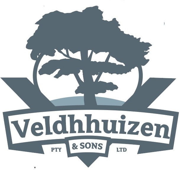 Veldhhuizen & Sons Home Inspection